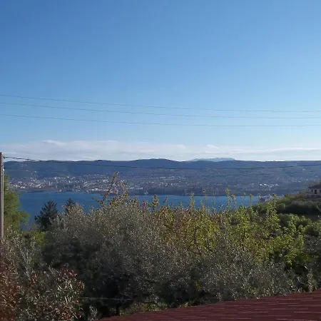 Ambrosia Muggia