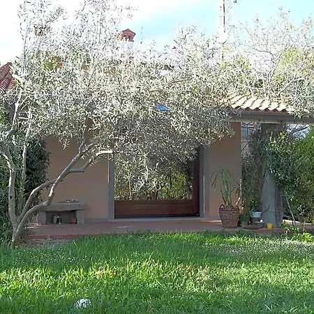 Ambrosia Bed & Breakfast